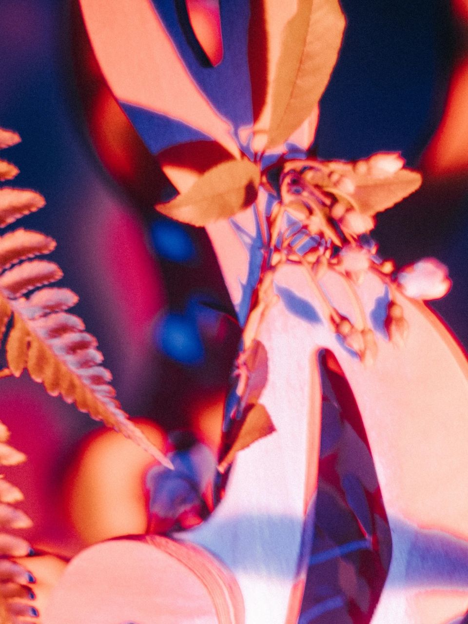 Werk der Ausstellung "Seeds of Life" (Ausschnitt)